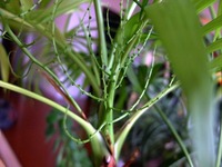 DSCF6069_R
