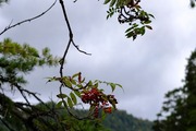 DSCF6338_R