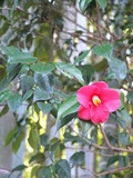 DSCF1077_R