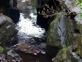 DSCF1501_R
