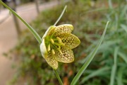 DSCF0476_R