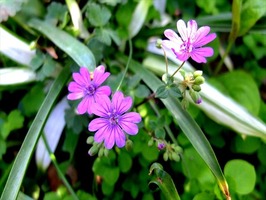 DSCF1841_R