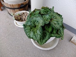 DSCF5836_R