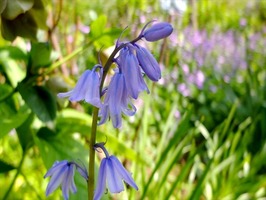 DSCF1840_R