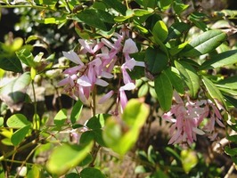 DSCF5301_R