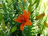 DSCF7927_R