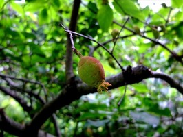DSCF2928_R