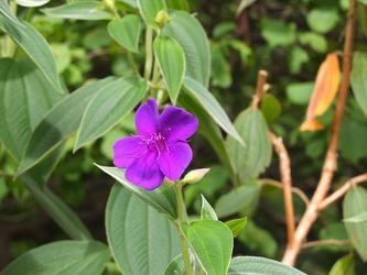 DSCF4407_R