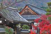 DSCF7937_R