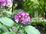 DSCF8255_R