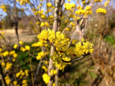 DSCF7180_R