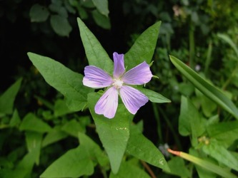 DSCF4516_R