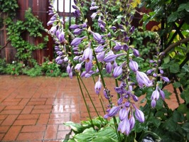 DSCF3652_R