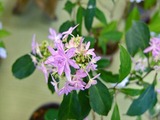 DSCF7797_R