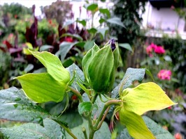 DSCF8968_R