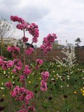 DSCF1332_R