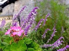DSCF9484_R