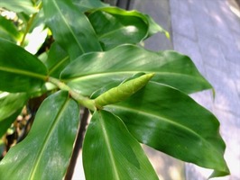 DSCF9236_R