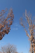DSCF8925_R