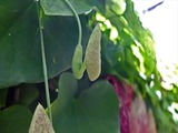 DSCF7847_R