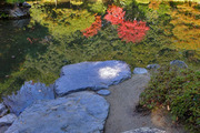DSCF8354_R