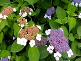 DSCF8086_R
