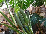 DSCF7830_R