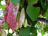 DSCF7850_R