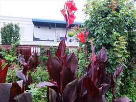DSCF3651_R
