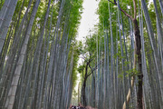 DSCF7889_R