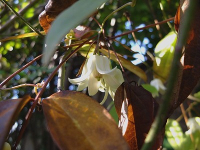DSCF6608_R