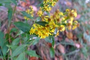 DSCF6779_R