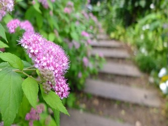DSCF8022_R