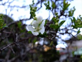 DSCF7360_R