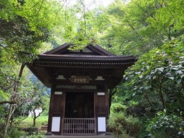 DSCF4398_R
