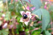 DSCF6784_R