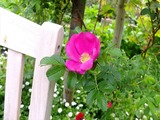 DSCF7010_R