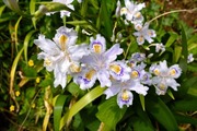 DSCF6876_R