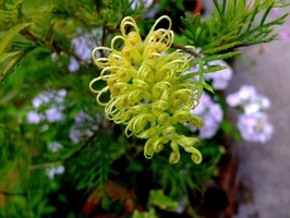 DSCF3670_R