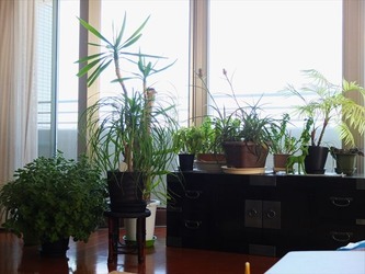 DSCF8577_R