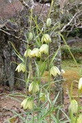 DSCF0477_R