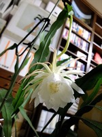 DSCF3818_R