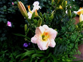 DSCF3563_R