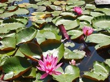 DSCF7786_R