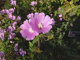 DSCF5962_R