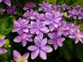 DSCF3075_R