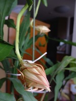 DSCF3759_R