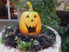 DSCF5112_R