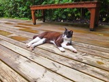 DSCF8274_R