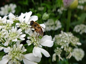 DSCF7441_R